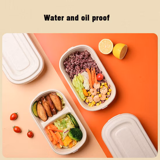 Talheres biodegradáveis, recipiente para alimentos, atacado, amido de milho, polpa de bagaço, concha com tampa, restaurante, preparação de refeições para levar, almoço